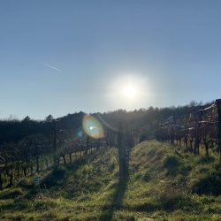 IMG_0051-scaled-reuafqeyxe992bu8z9fhr4alar5hfje9n40i0u9ll4