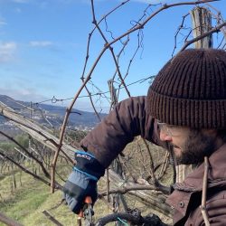 IMG_7659-scaled-reuafxxog2jjn7jbrcoib2ea1u4f5484c58dv1yg7c